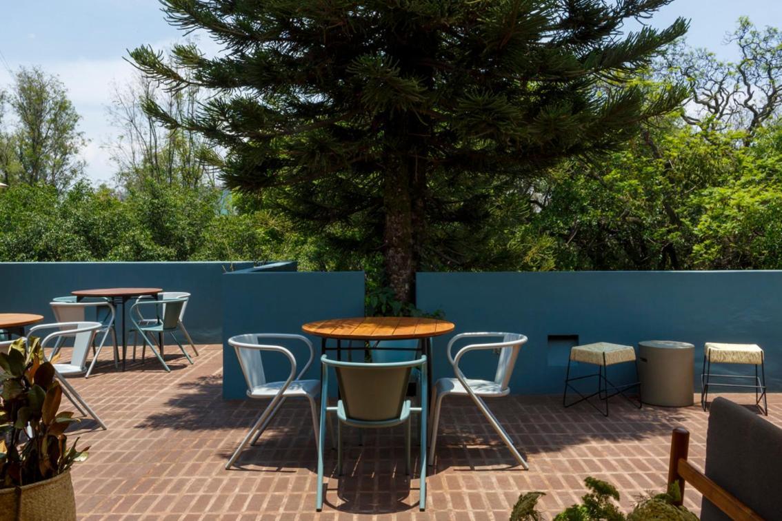 Uma Casa Apartment Mexico City Exterior photo